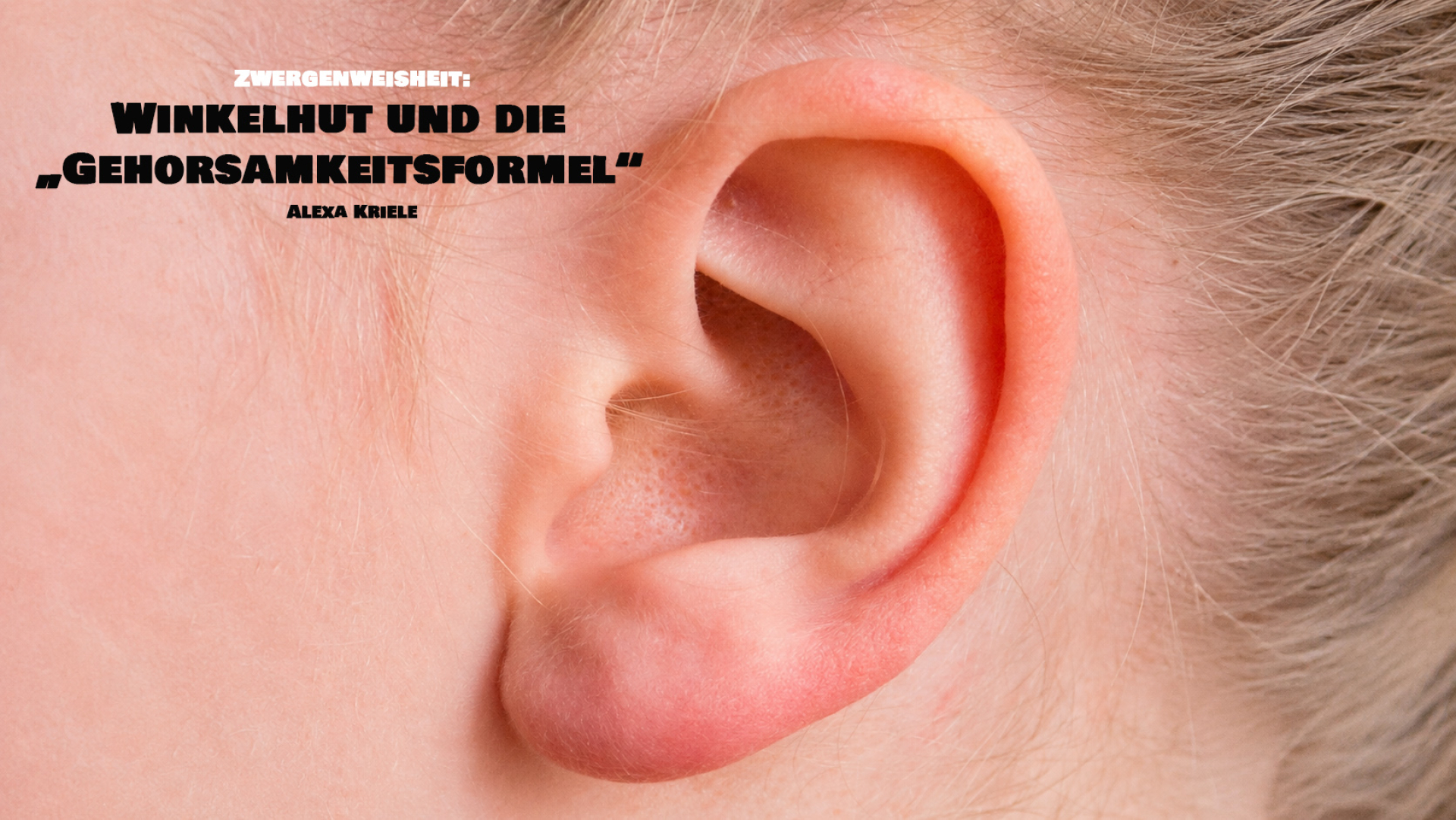 Zwergenweisheit: Winkelhut und die „Gehorsamkeitsformel“